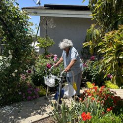 La Valhalla Residential Care - Likes the sunshine a lot