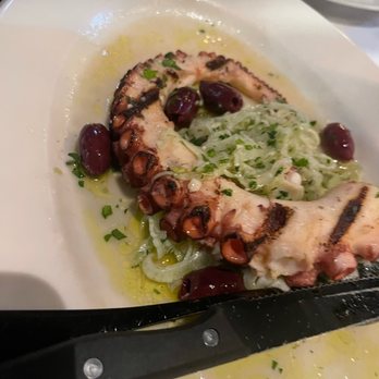Marcello's Ristorante - Octopus - Italian Near Me - Sarasota, Florida Marcello's Ristorante - Octopus - Italian Near Me - Sarasota, Florida