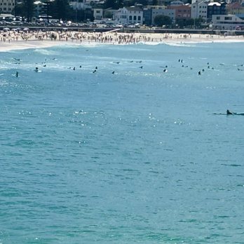 Bondi Beach - Surfers - Beaches Near Me Bondi Beach - Surfers - Beaches Near Me