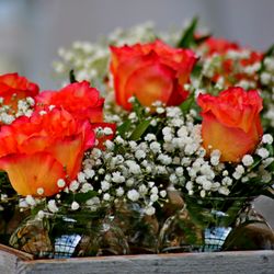 Blairstown Country Florist & Gift Shop