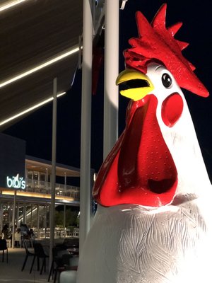 Chicken Foot by null