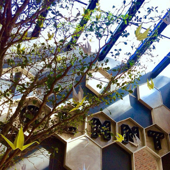 Clemente - Lounges Near Me - Guadalajara, JAL Clemente - Lounges Near Me - Guadalajara, JAL
