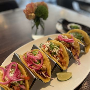 Wild Salsa - The goods.... Tacos - Mexican Near Me - Fort Worth, Texas Wild Salsa - The goods.... Tacos - Mexican Near Me - Fort Worth, Texas