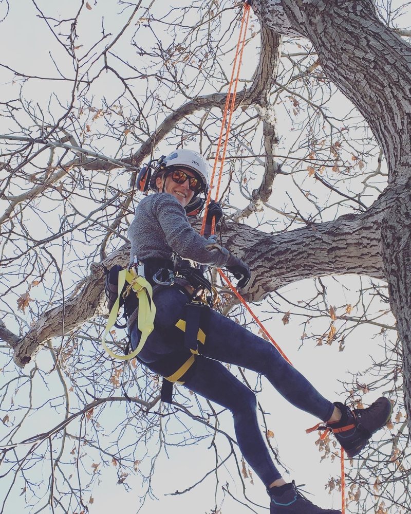 Utah Timber & Lawn - tree service in Salt Lake City, UT