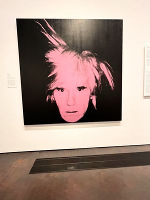 The Museum of Fine Arts, Houston by null