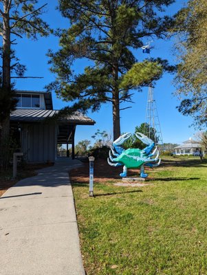 North Carolina Estuarium by null
