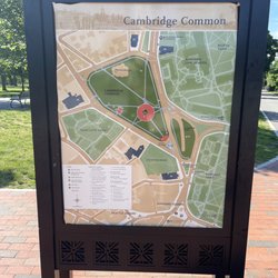 Cambridge Common Park