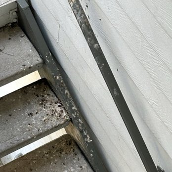 Stonebridge at City Park - 3rd floor stairs covered in bird poop - Apartments Near Me - Houston, Texas
