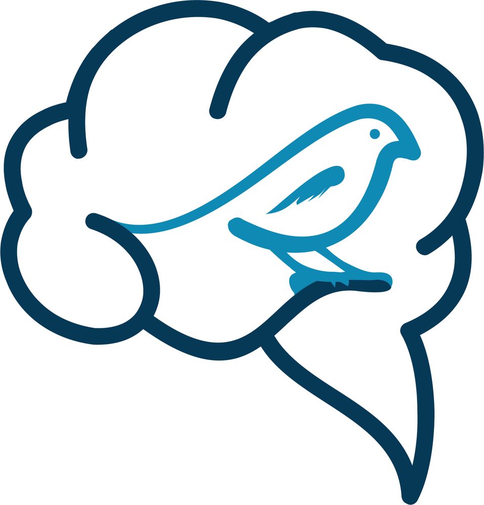 Shannon Psychiatry - child therapist in Somerville, MA