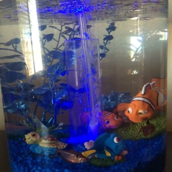 The Aquarium Connection - My sons nemo tank - Aquariums Near Me - Simi Valley, California The Aquarium Connection - My sons nemo tank - Aquariums Near Me - Simi Valley, California