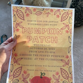 Windward Long Point Apartments - Cute event by the management! - Apartments Near Me - Mount Pleasant, South Carolina Windward Long Point Apartments - Cute event by the management! - Apartments Near Me - Mount Pleasant, South Carolina