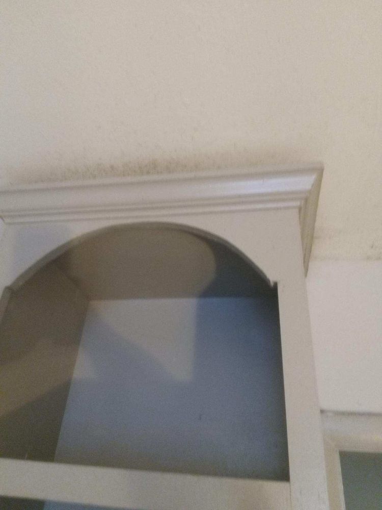 THE PARK AT FOUNTAIN CITY Updated September 2024 69 Photos & 16