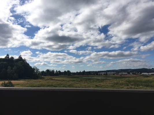 Ancestry Brewing by null