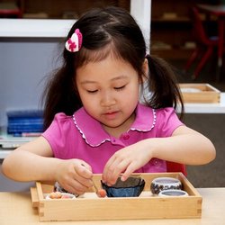 American Montessori - Montessori Works