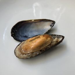 Mercan Restaurant - oysters, mussels, oysters and mussels, shellfish, food - Seafood Near Me - Istanbul, 34