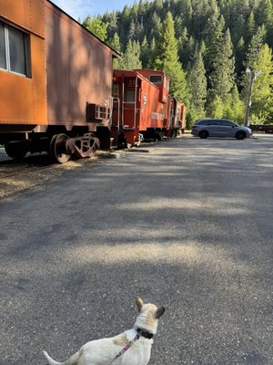 Jubilee Railroad Wilderness Lodge by null