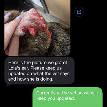 Camp Bow Wow - Text from Camp Bow Wow confirming the other dog had not been injured - Pet Training Near Me - Phoenix, Arizona