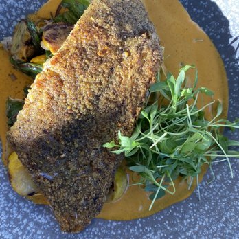 Camper - Rock cod - New American Near Me - Menlo Park, California