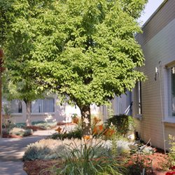 Vibra Hospital of Denver