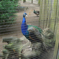 Schwentinepark
