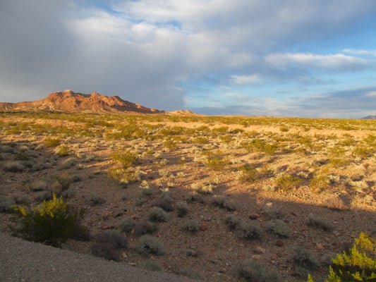 Bootleg Canyon by null