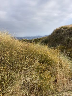 Stough Canyon Nature Center by null
