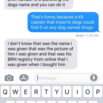 Vom Dreifke Shepherds - Pet Training Near Me - Dinwiddie, Virginia