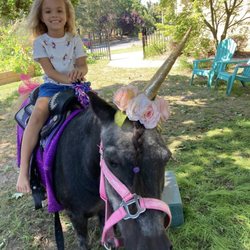 Pony World Adventure