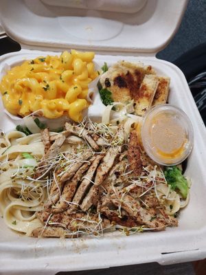 The Reizod Vegan Experience by null