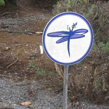 Ali'i Kula Lavender - Tours Near Me - Kula, Hawaii