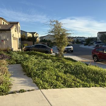 Big Bully Turf - Artificial Turf Near Me - San Diego, California Big Bully Turf - Artificial Turf Near Me - San Diego, California