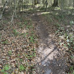 Nocatee Preserve Trail - nice grippy dirt to ride on