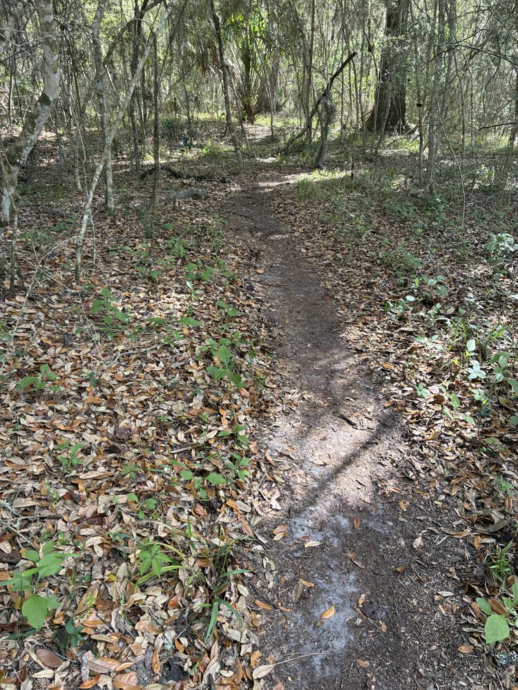 Nocatee Preserve Trail Image