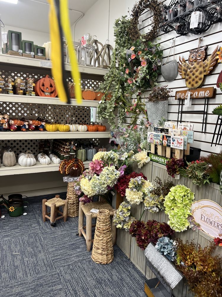 CAPE MAY WICKER Updated October 2024 11 Photos 109 Sunset Blvd