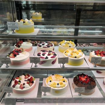 Tous Les Jours - Coffee & Tea Near Me - Wesley Chapel, Florida Tous Les Jours - Coffee & Tea Near Me - Wesley Chapel, Florida
