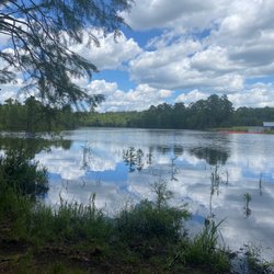 Carvers Creek State Park