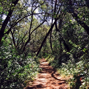 Natural Bridges Hiking Trail - The trail - Hiking Near Me - Vallecito, California Natural Bridges Hiking Trail - The trail - Hiking Near Me - Vallecito, California