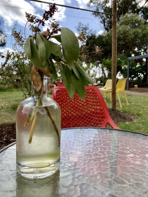 Kangaroo Island Spirits by null
