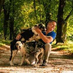 B&R Tree Service - Bernie (owner)
