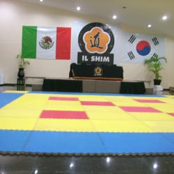 Il Shim - Il Shim, tae kwon do, combates, formas, defensa personal y más.