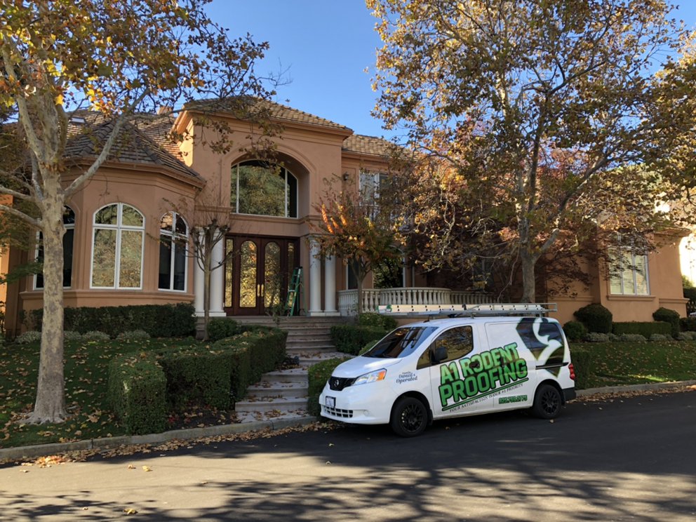 A1 RODENT PROOFING AND PEST CONTROL 42 Photos & 17 Reviews