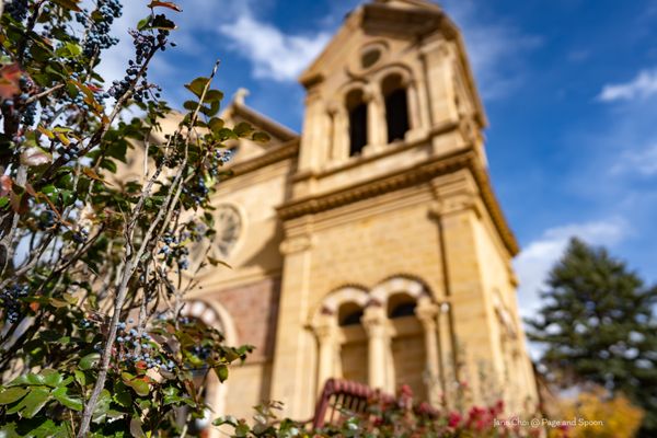 The Cathedral Basilica of St. Francis of Assisi by null
