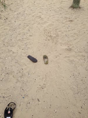 Andy Bowie County Park by null