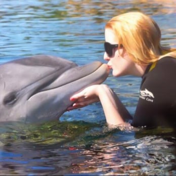 Discovery Cove - My dolphin!! - Amusement Parks Near Me - Orlando, Florida Discovery Cove - My dolphin!! - Amusement Parks Near Me - Orlando, Florida