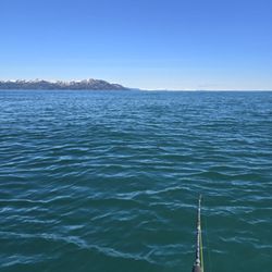 Saltwater Excursions