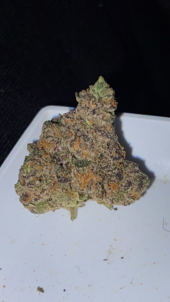 BEYOND HELLO 21 Reviews 501 Northtown Rd, Normal, Illinois Cannabis Dispensaries Phone