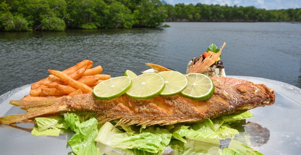 Blue Marlin Fish House Restaurant & Adventures by null