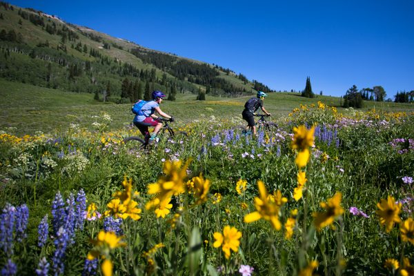Grand Targhee Resort by null