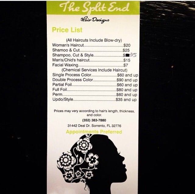 The Split End Image