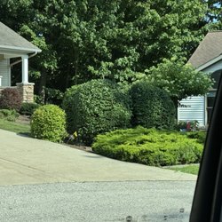 Vivid Lawn & Property - Let Vivid take care of your hedges!